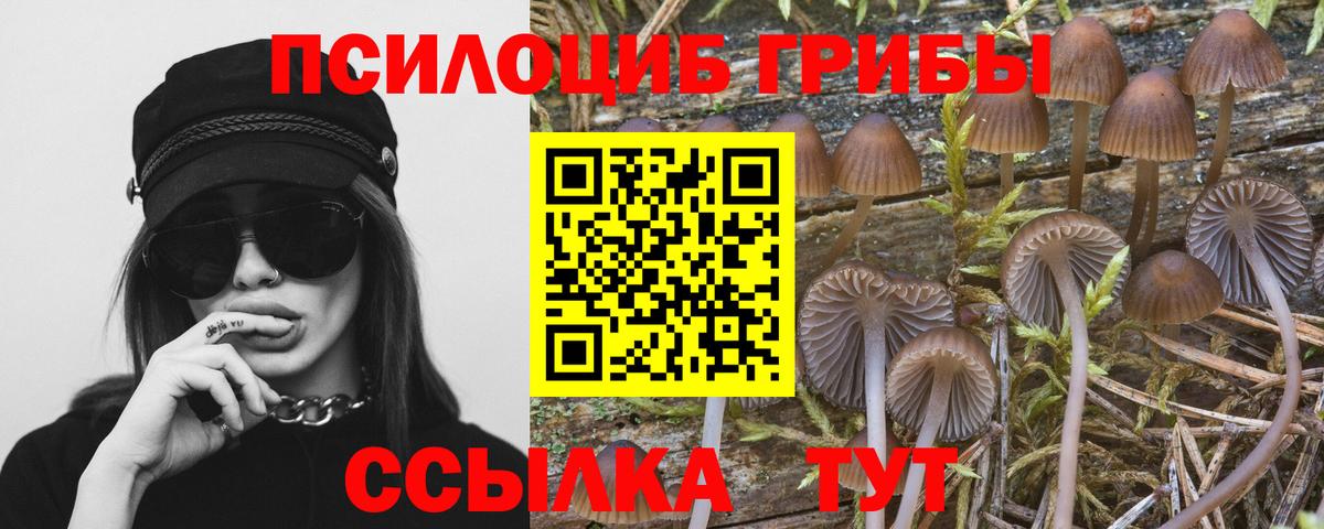 Галлюциногенные грибы ЛСД Ессентуки