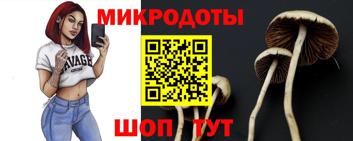 Галлюциногенные грибы MAGIC MUSHROOMS  Вход с VPN  Ессентуки  Галлюциногенные грибы Magic Shrooms 